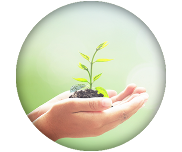 Duurzaamheid & verantwoording